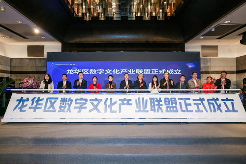 文化產業之飛翼 展數字龍華之宏圖 龍華區數字文化產業招商大會盛大啟幕